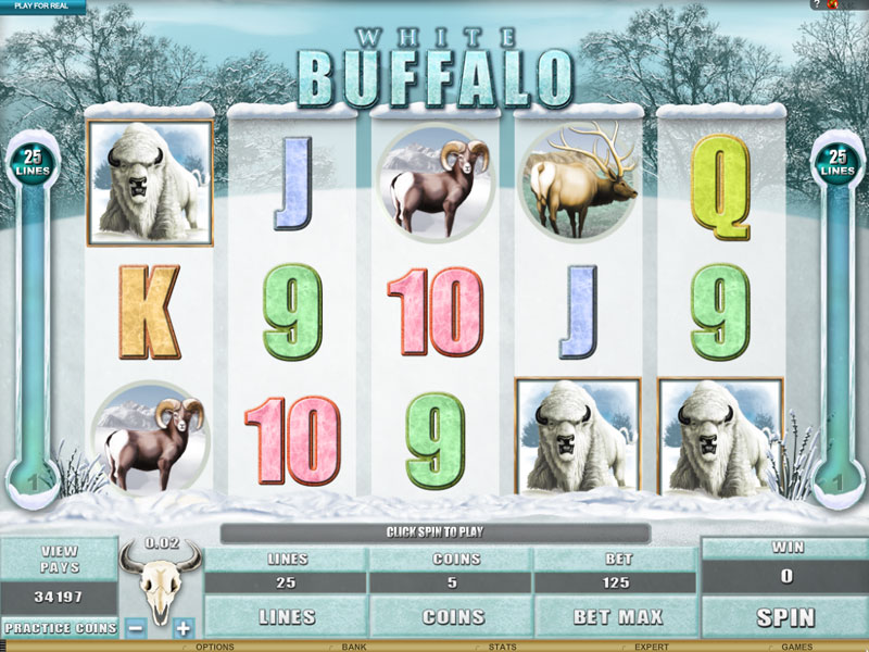 Настоящая охота на игровом слоте «White Buffalo» в онлайн казино Император